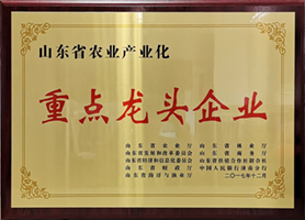 老哥俱乐部实力