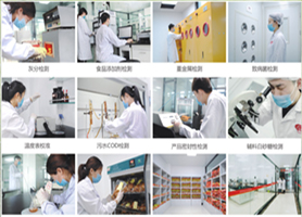 老哥俱乐部实力